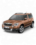 Yeti 2009-
