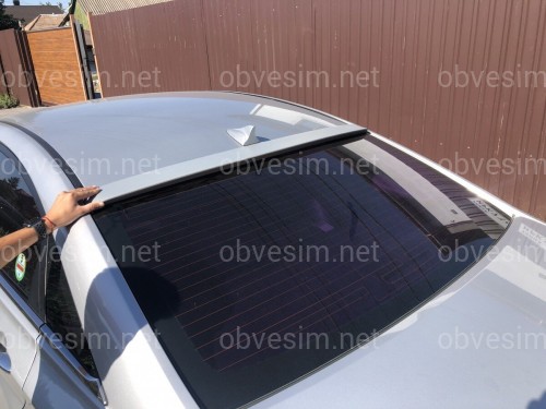 Козирок на скло Hyundai Sonata YF 2010-2015 ABS пластик під фарбування