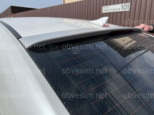 Козирок на скло Hyundai Sonata YF 2010-2015 ABS пластик під фарбування зі стопом