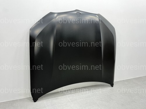 Капот алюмінієвий BMW X5 G05 X5M F95 / X6 G06 X6M F96 2018- 41007492375