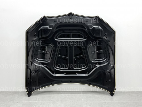 Капот алюмінієвий BMW X5 G05 X5M F95 / X6 G06 X6M F96 2018- 41007492375