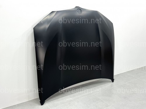 Капот алюмінієвий BMW X3 G01 / X4 G02 / iX3 G08 2018- 41008499153