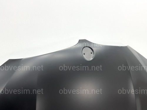 Капот алюмінієвий BMW X3 G01 / X4 G02 / iX3 G08 2018- 41008499153
