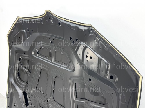 Капот алюмінієвий BMW X3 G01 / X4 G02 / iX3 G08 2018- 41008499153