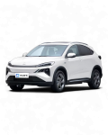  M-NV 2021-